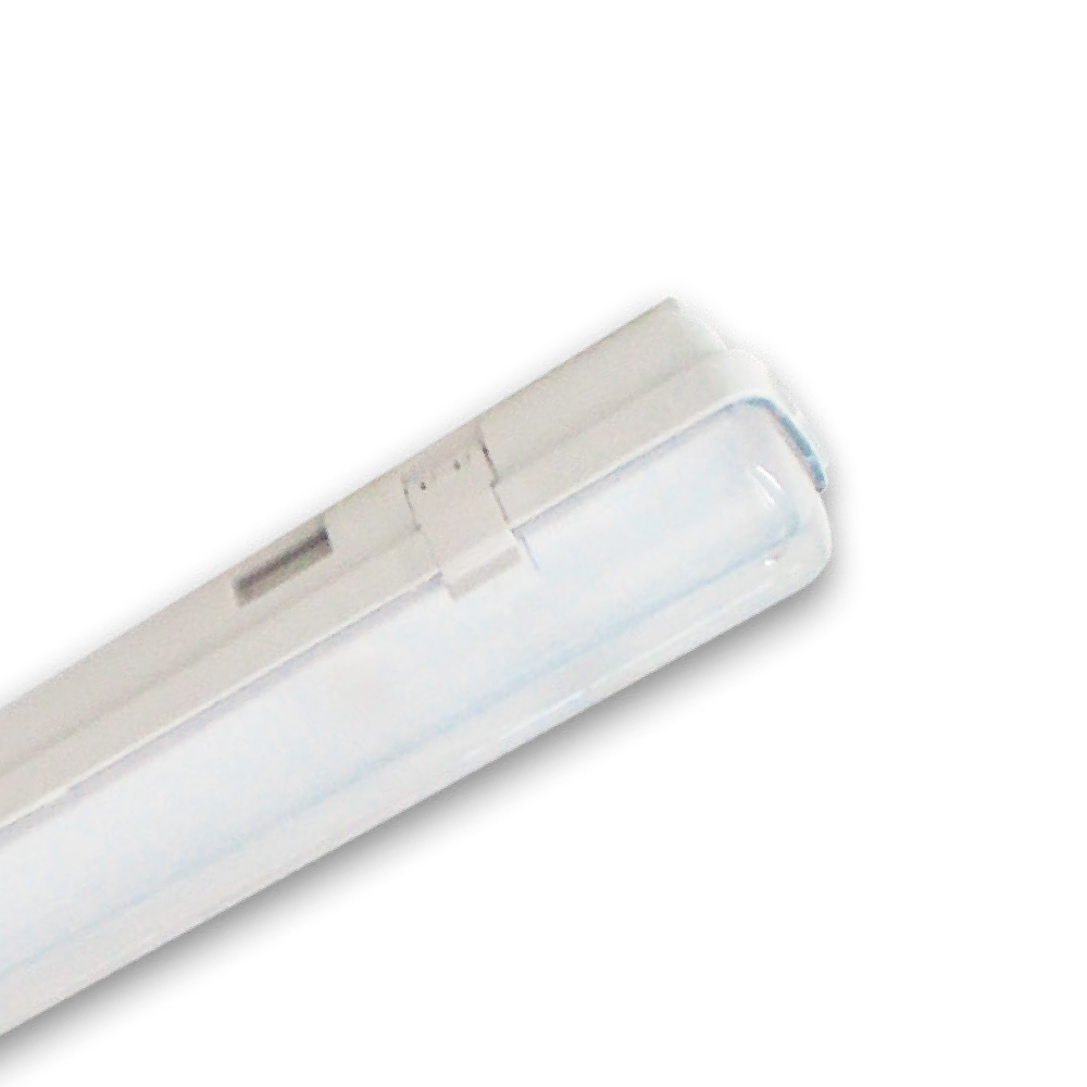 ILLUMINA BS102LED